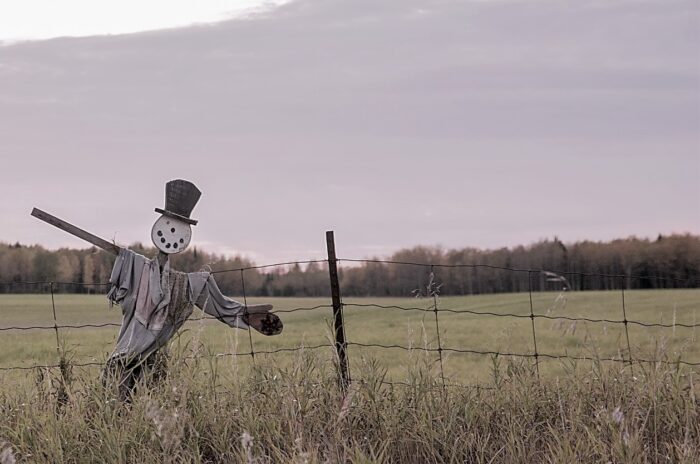 Return to OZ かかしのスケアクロウ フィギュア 中嶋製作所