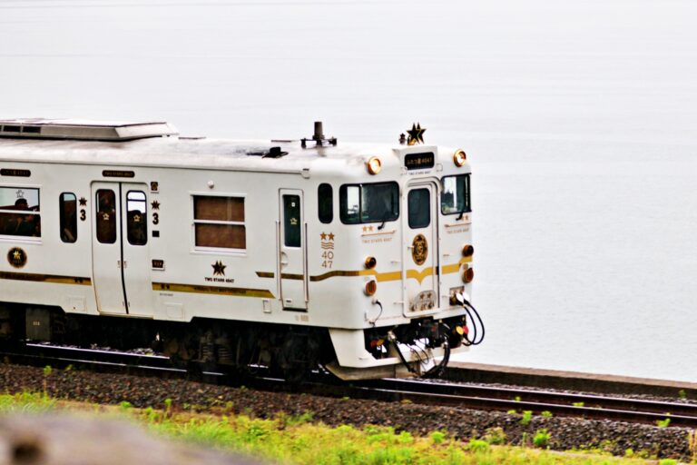 マツコの知らない世界・観光列車